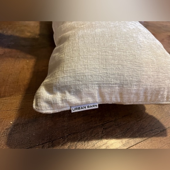 Urban Barn Clooney Toss Pillow - Picture 2 of 2